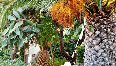 Galaxy Suites Boutique Resort