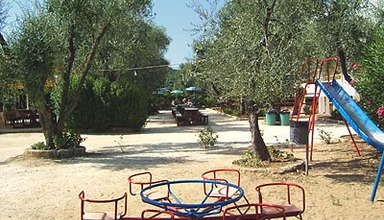 Gallo