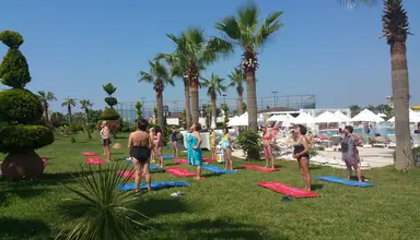 Garden Of Sun