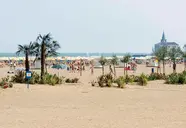 Garden Sea
