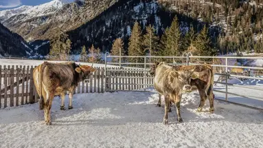 Gasthof Trushof