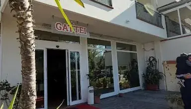 Gattei