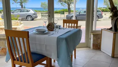 Gatto Bianco