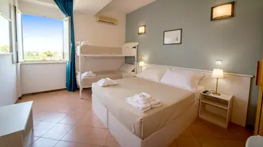 Gatto Bianco