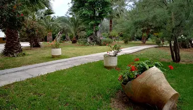 Gemini