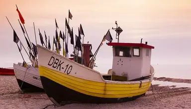 Geovita (Dąbki)