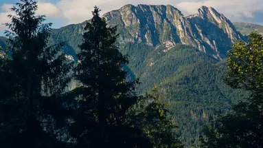 Geovita (Zakopane)