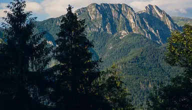 Geovita (Zakopane)