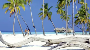 Gili Lankanfushi Maldives