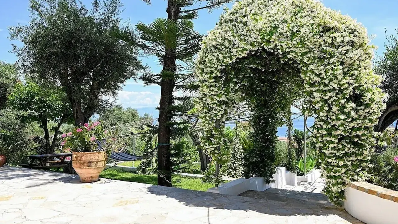 Gina Studios