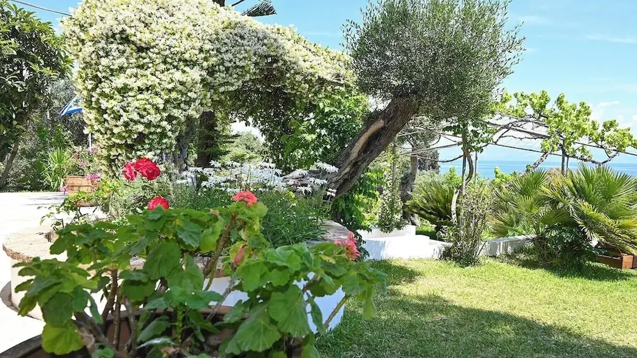 Gina Studios