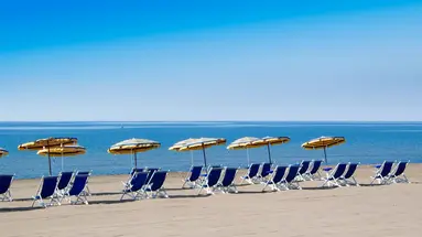 Giulivo