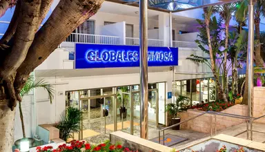 Globales Mimosa