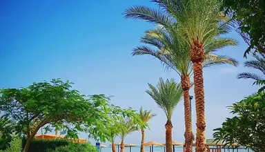 Golden Beach Resort (ex Movie Gate)