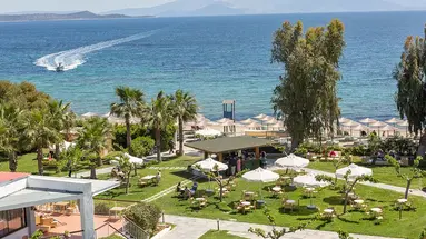 Golden Coast