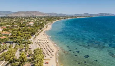 Golden Coast