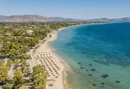 Golden Coast