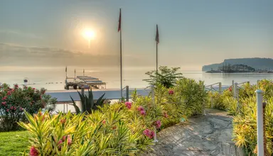 Golden Lotus
