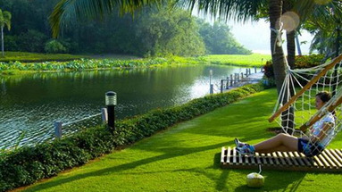 Golden Palm Resort