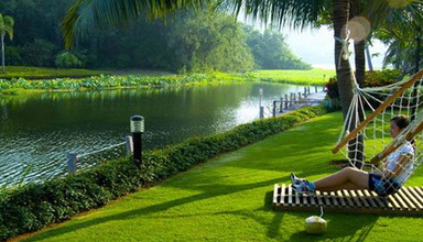 Golden Palm Resort