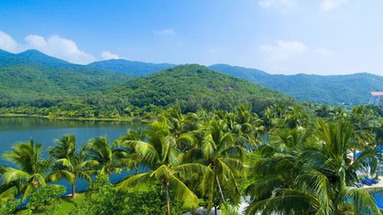 Golden Palm Resort