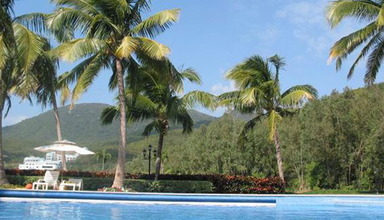 Golden Palm Resort