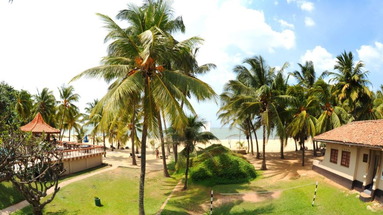 Golden Star Beach