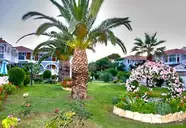 Golden Sun (Kalamaki)