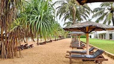 Goldi Sands