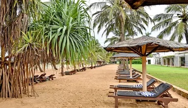 Goldi Sands