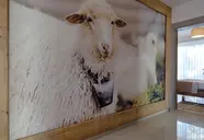 Gordonówka