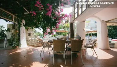 Gorgona Studios