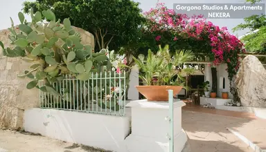 Gorgona Studios