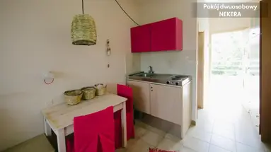 Gorgona Studios