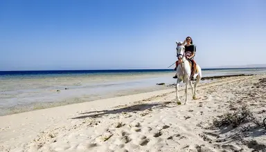 Gorgonia Beach