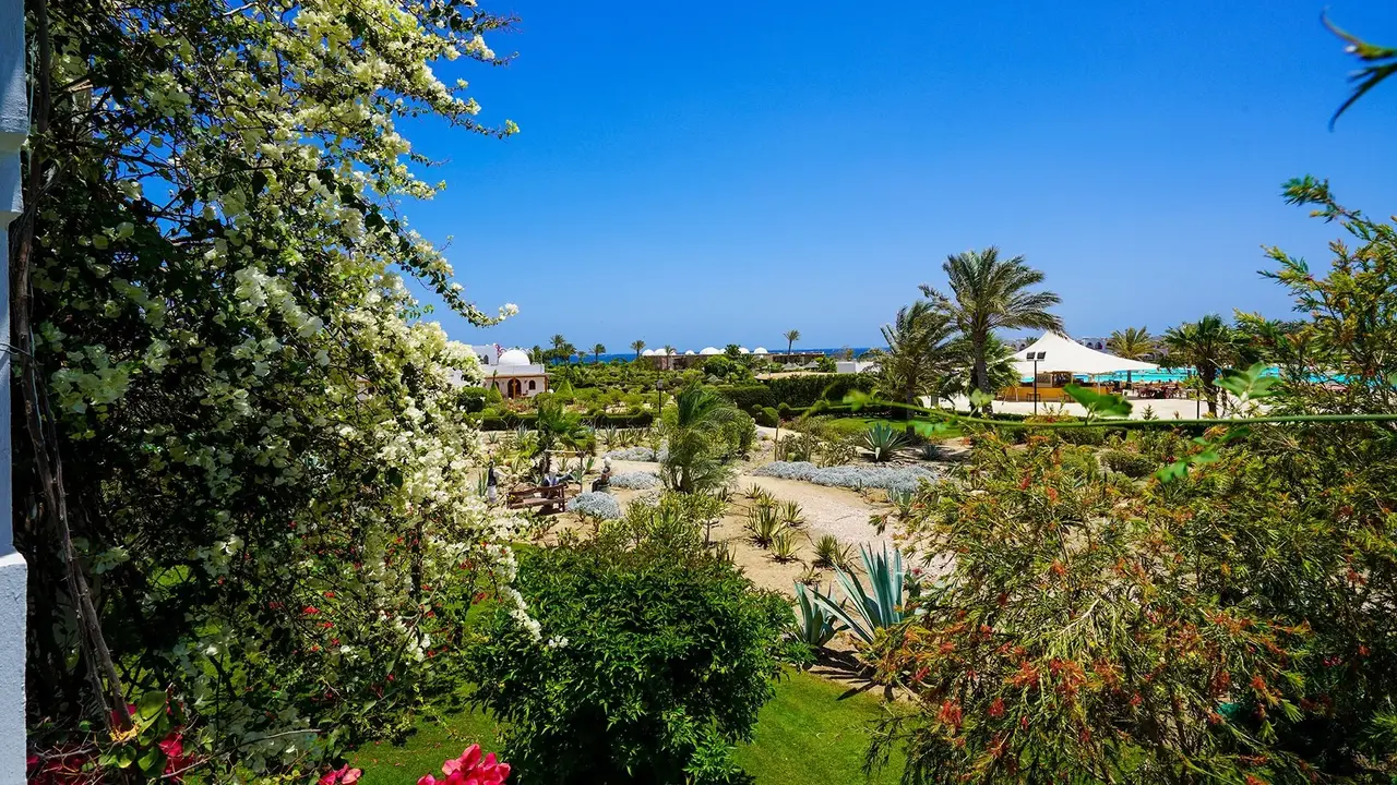 Gorgonia Beach