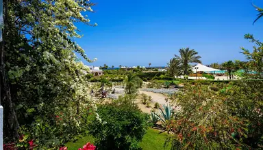 Gorgonia Beach