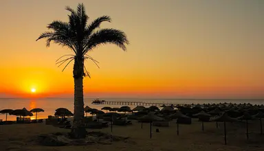Gorgonia Beach