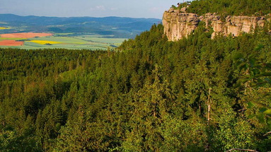 Górski Czarna Góra