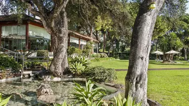 Gran Melia Don Pepe