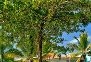 Gran Ventana Beach Resort
