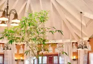 Gran Ventana Beach Resort