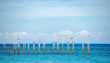 Grand Aston Varadero