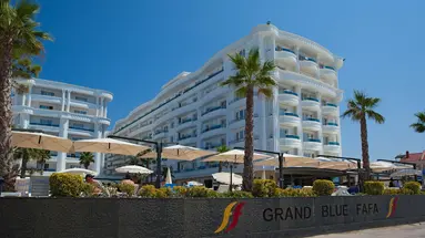 Grand Blue Fafa