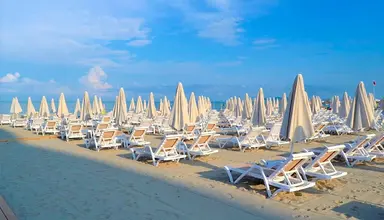 Grand Blue Fafa