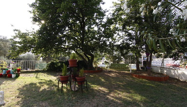 Grand Kurdoglu