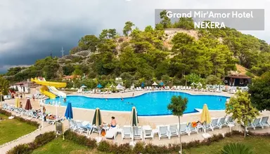 Grand Mir' Amor