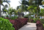 Grand Oasis Cancun