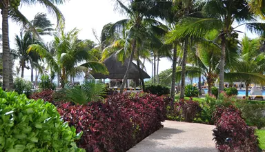 Grand Oasis Cancun