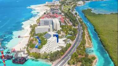 Grand Oasis Palm